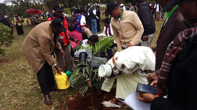 Tree planting